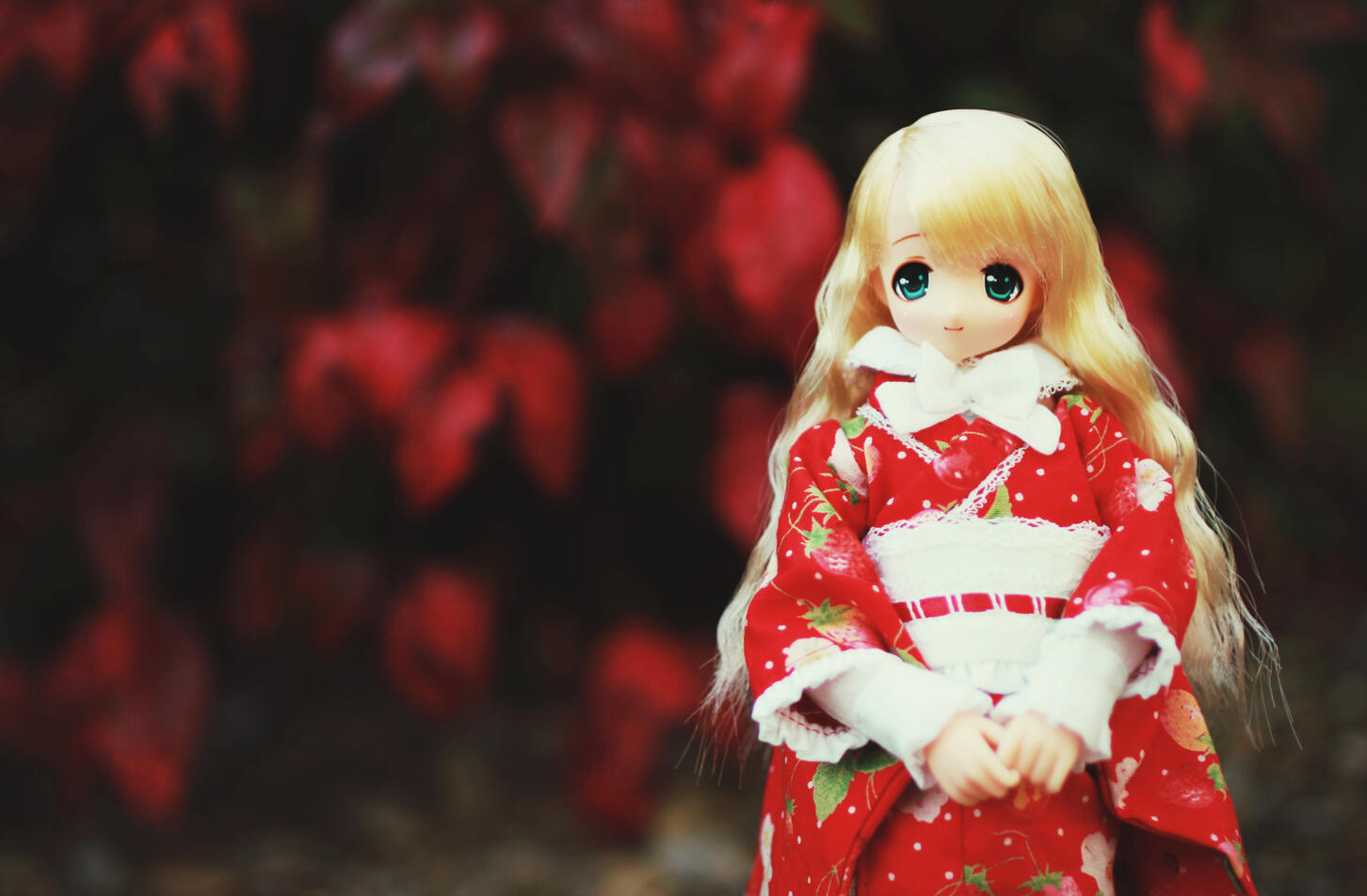 Strawberry Autumn, 2016.