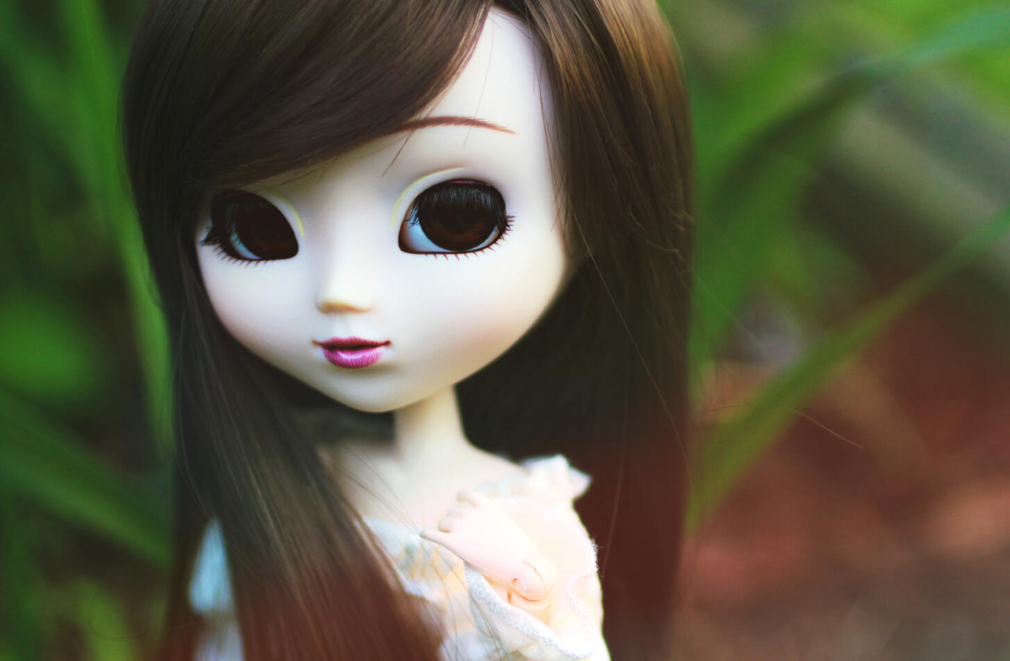 Pullip Greggia, 2019.