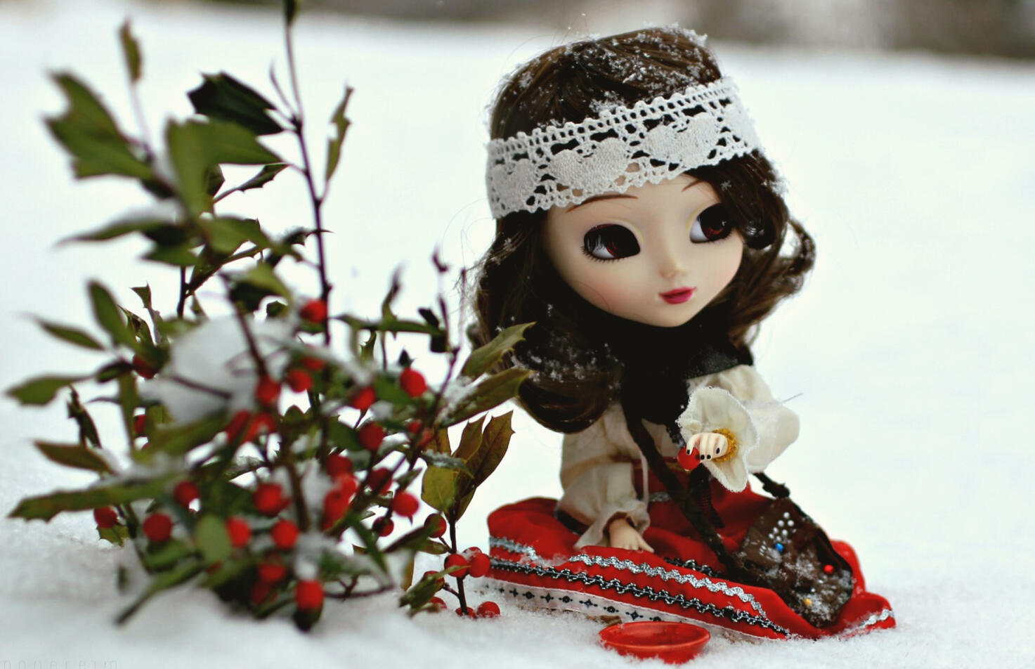 Berry Foraging, 2014.